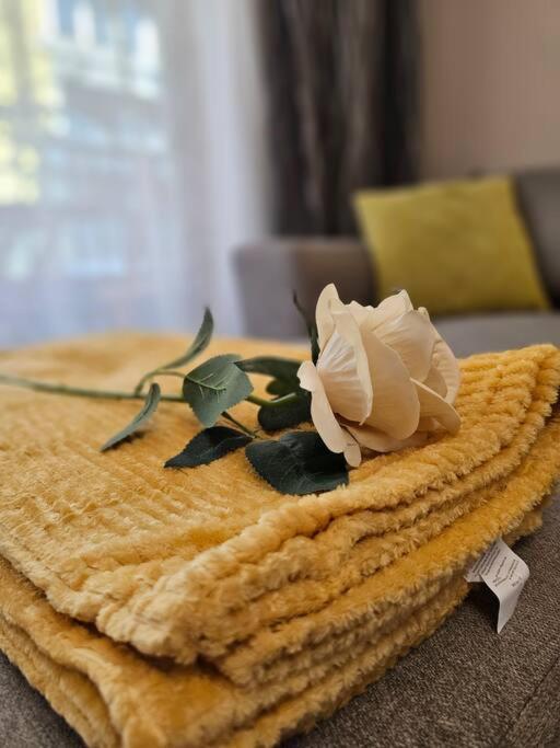 Apartment Serenity In The Heart Of With Parking